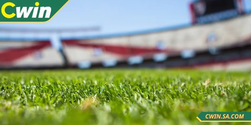 Cwin Cá Cược Thể Thao Đỉnh Cao Cùng Với Tỷ Lệ Hấp Dẫn 4 Nắm ngay các kinh nghiệm tham gia CWIN cá cược thể thao hiệu quả